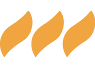 Liberty-Coal-Web-shape-1